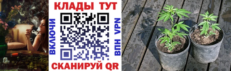 Как найти наркотики Подпорожье COCAIN Меф мяу мяу Гашиш АМФЕТАМИН Героин Alpha-PVP Конопля