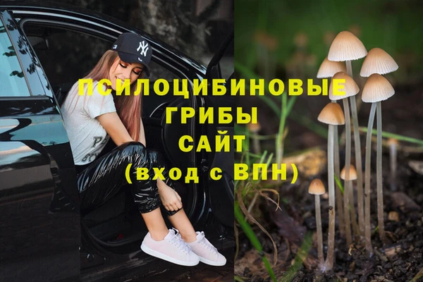 эйфоретик Вязники