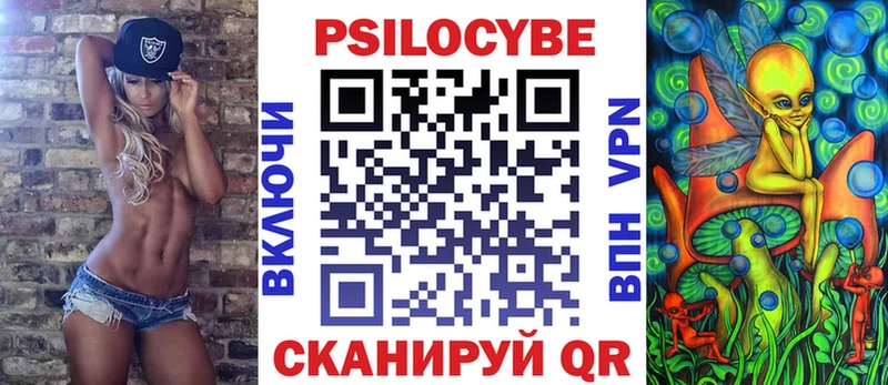 Псилоцибиновые грибы Cubensis  Подпорожье 
